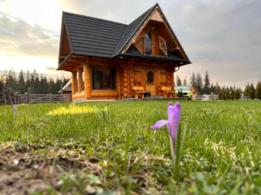 Domek Góralski Baciarka, Witów